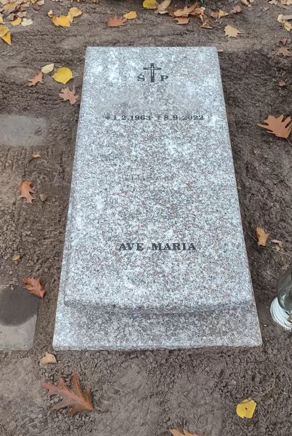 Brąz królewski 100x50